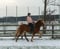 Horse ad