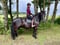 Annuncio cavallo