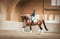 Annuncio cavallo