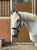 Horse ad