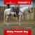 Horse ad
