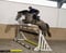 Annuncio cavallo