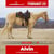 Horse ad