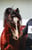 Horse ad