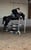 Horse ad