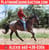 Horse ad