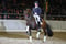 Horse ad