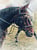 Horse ad