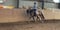 Annuncio cavallo
