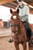 Anuncio de caballos
