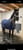 Horse ad