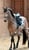Annonce cheval