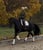 Horse ad