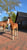 Horse ad