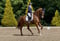 Annuncio cavallo