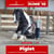 Annonce cheval