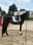 Annuncio cavallo