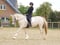 Horse ad