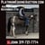 Horse ad