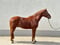 Annonce cheval