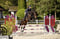 Horse ad