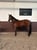 Annonce cheval