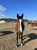Annuncio cavallo