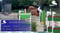 Paardadvertentie