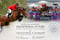 Paardadvertentie