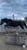 Annuncio cavallo