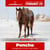 Horse ad