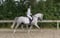 Horse ad