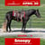 Horse ad