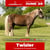 Annuncio cavallo