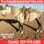 Annuncio cavallo