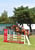 Horse ad