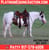 Horse ad