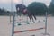 Annuncio cavallo