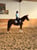 Horse ad