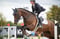 Annuncio cavallo