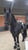 Horse ad