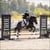 Annuncio cavallo