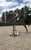Horse ad
