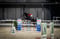 Horse ad