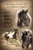 Horse ad