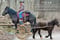 Horse ad