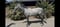 Annonce cheval