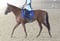 Horse ad
