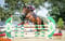 Annuncio cavallo