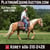 Annuncio cavallo
